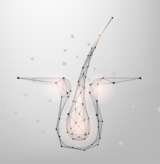 hand