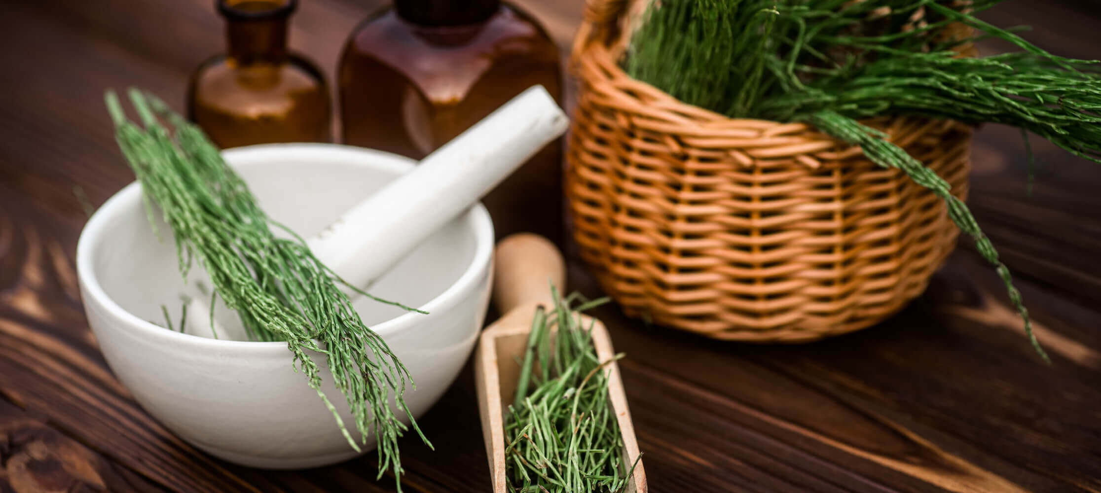 Horsetail Extract